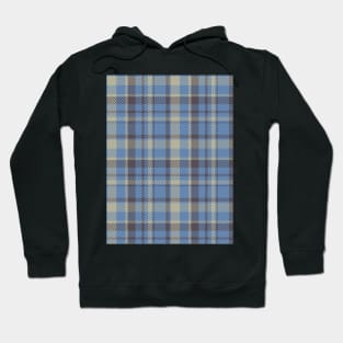 Gray Scottish of Pattern Hoodie